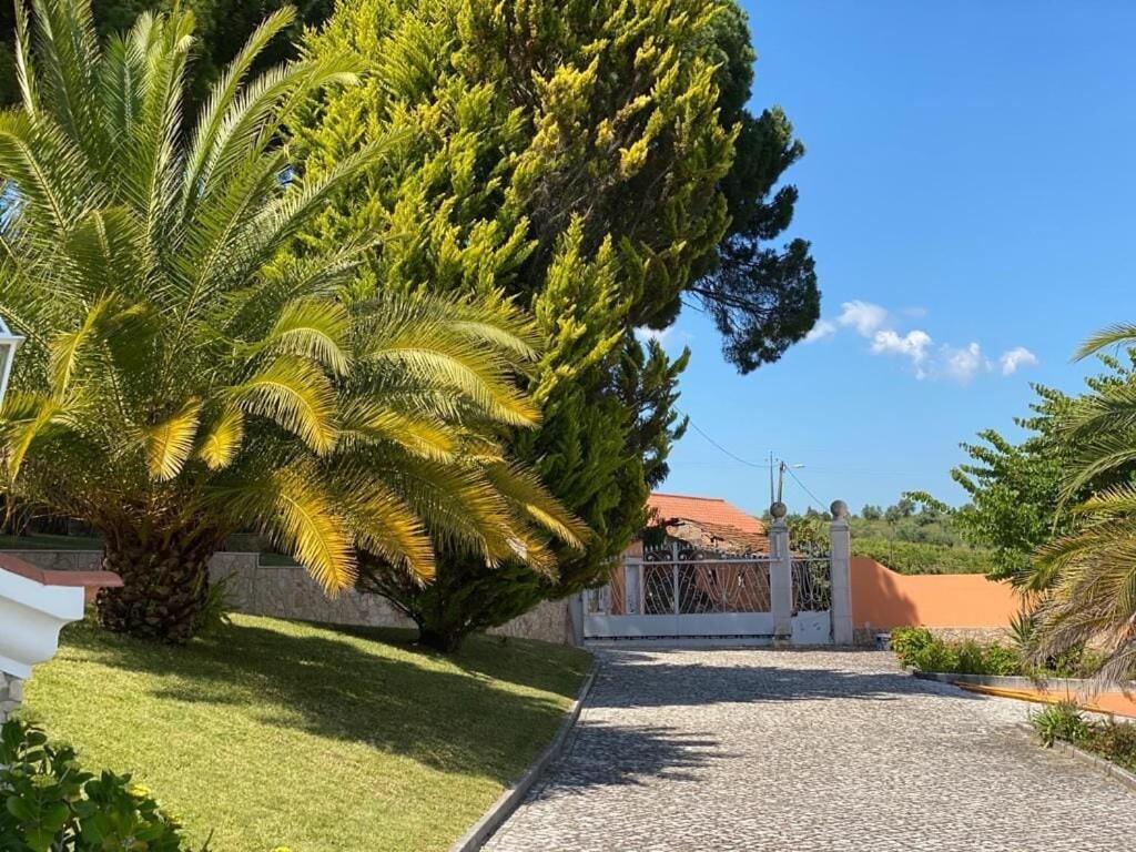 São João da Ribeira Quinta Do Alto Dos Pinheiros 빌라 외부 사진