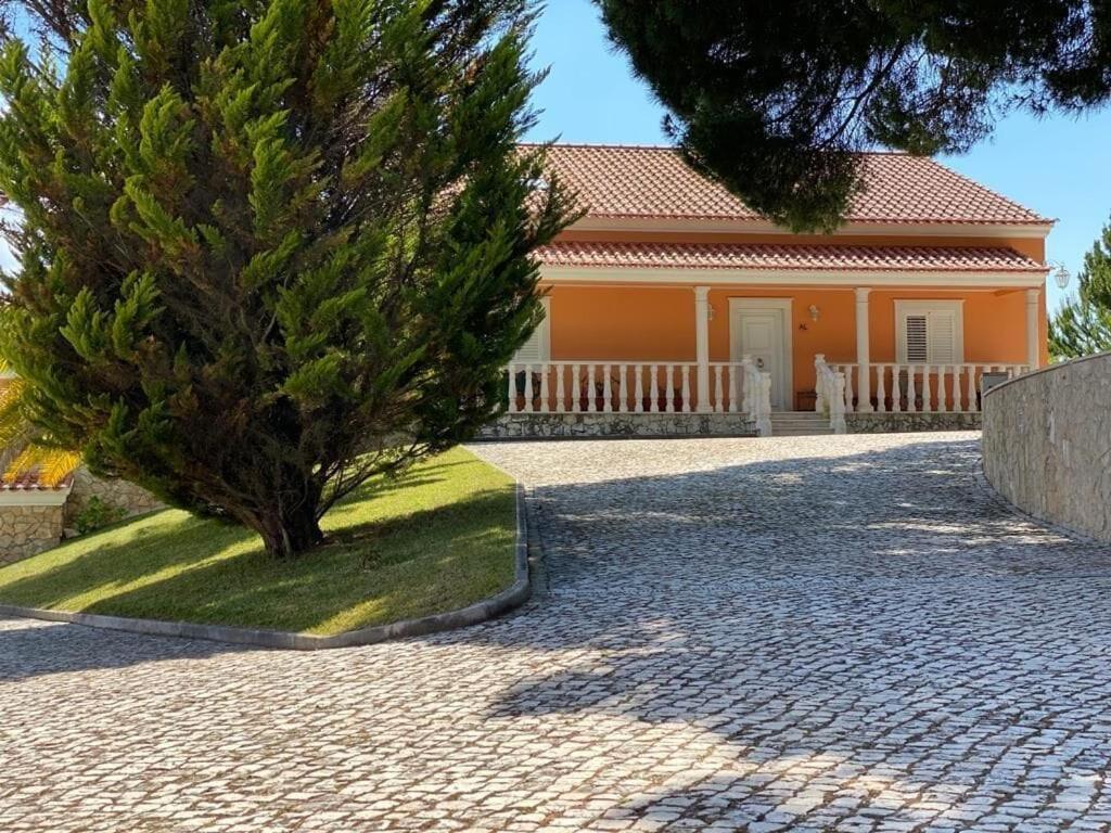 São João da Ribeira Quinta Do Alto Dos Pinheiros 빌라 외부 사진